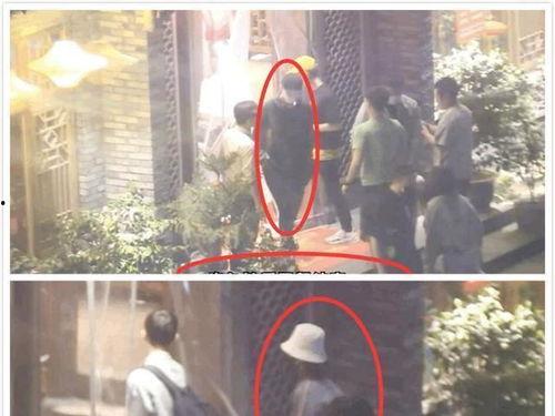 吃瓜娱乐八卦肖战杨紫,娱乐圈新CP甜蜜来袭!